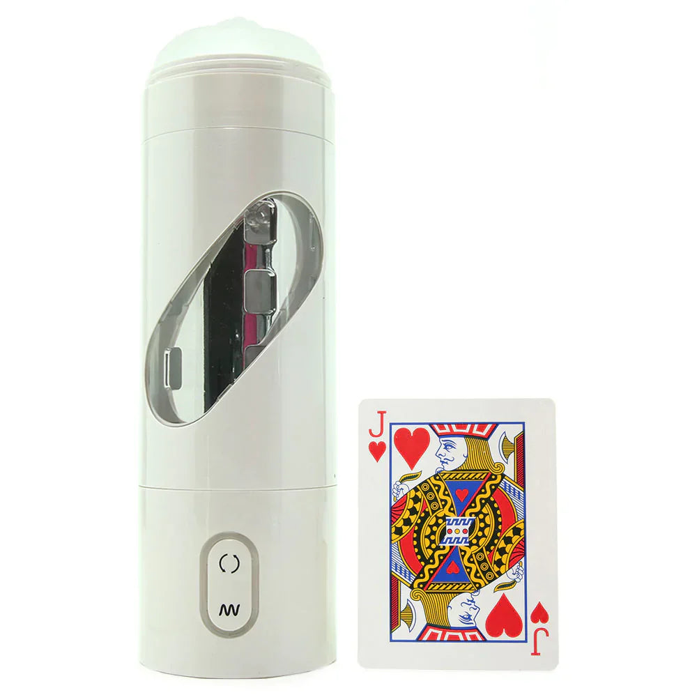 Extreme Rechargeable Roto-Bator Pussy - SexToysVancouver.Delivery