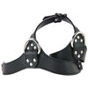 Strict Female Chest Harness